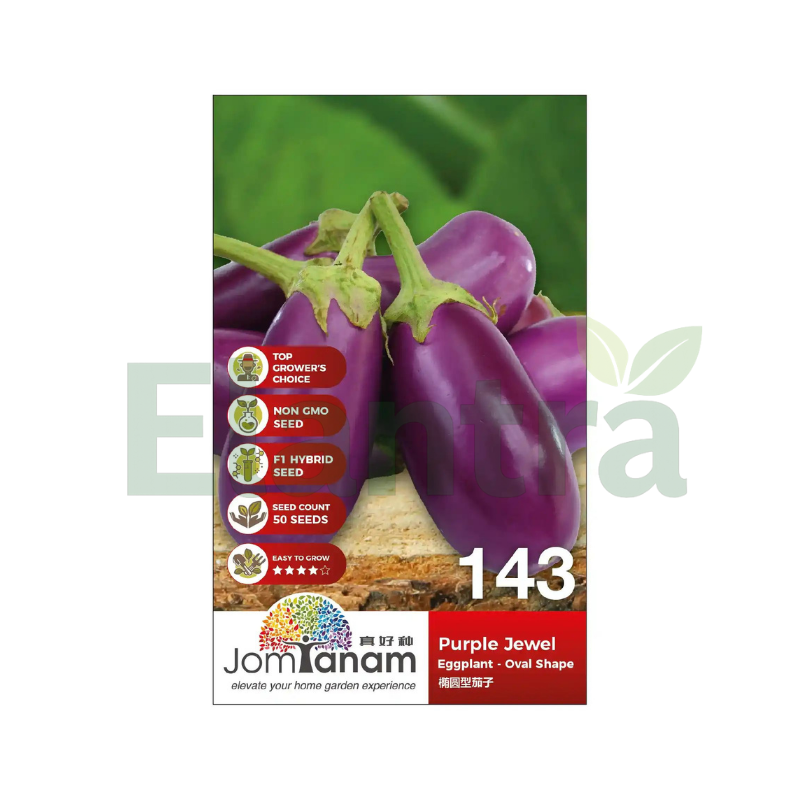 143 EGGPLANT - OVAL SHAPE